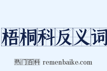 梧桐科反义词是什么意思的图片